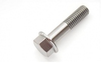 hex flange bolt
