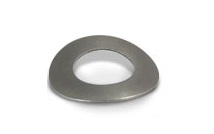 curved spring Washers